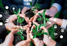 Sustainability